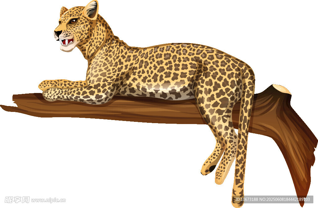 树枝上休憩的花豹