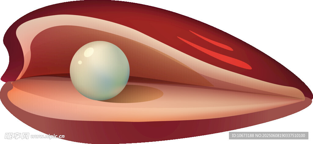 红色贝壳中的圆润珍珠