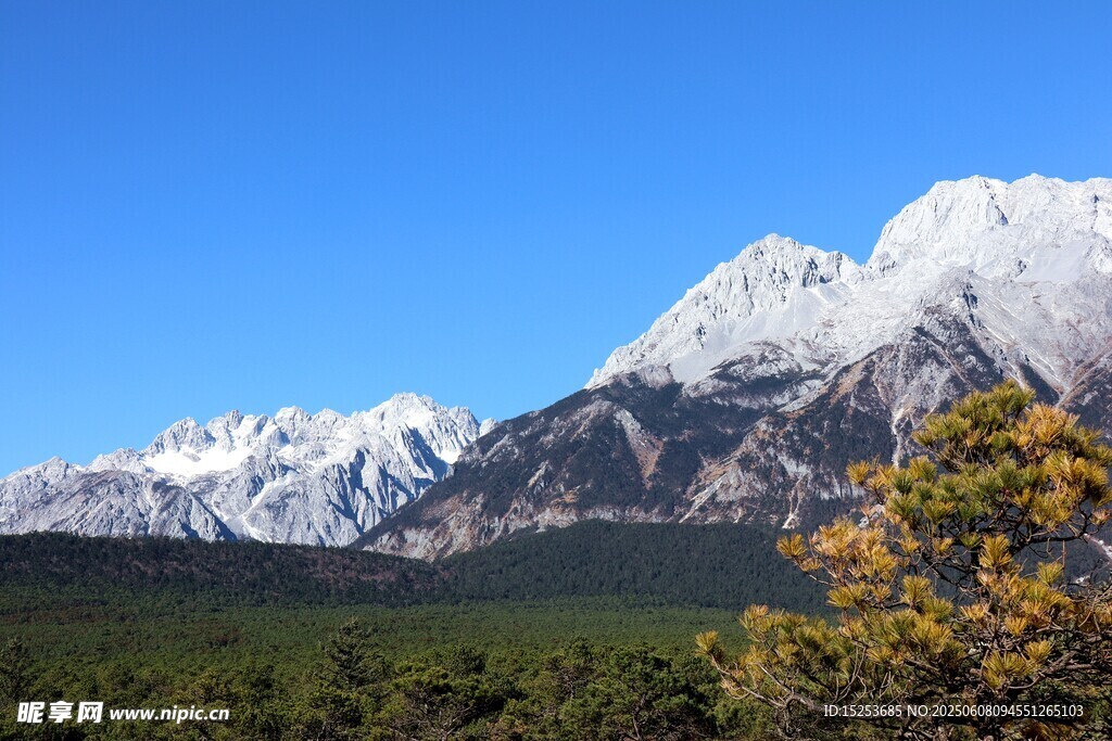 雪山森林美景