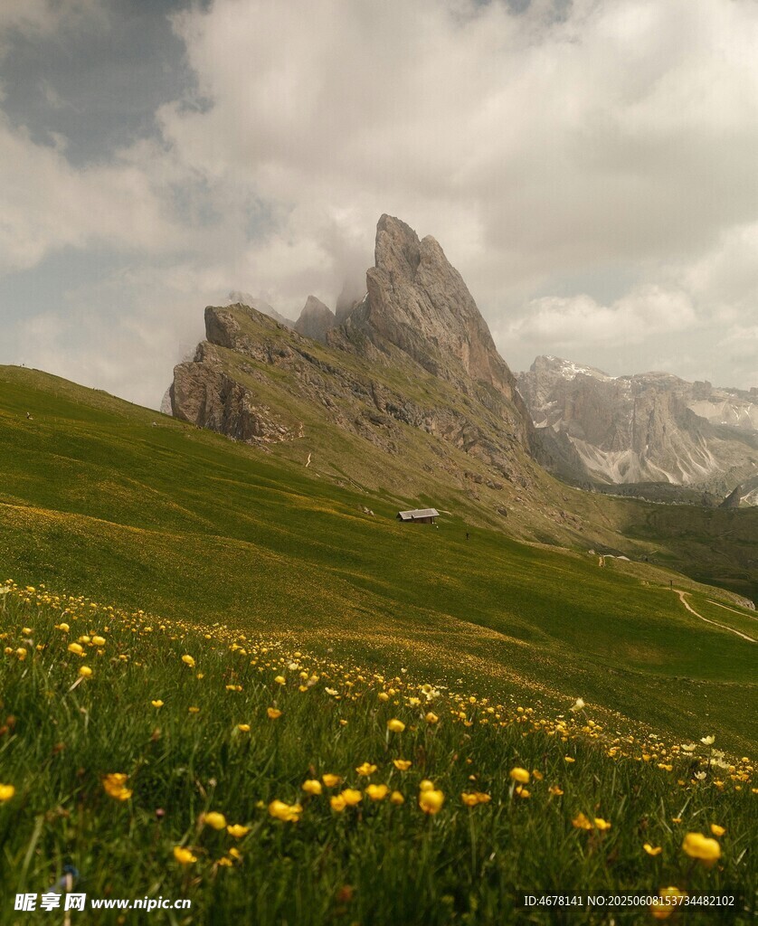 山间花海与巍峨山峰