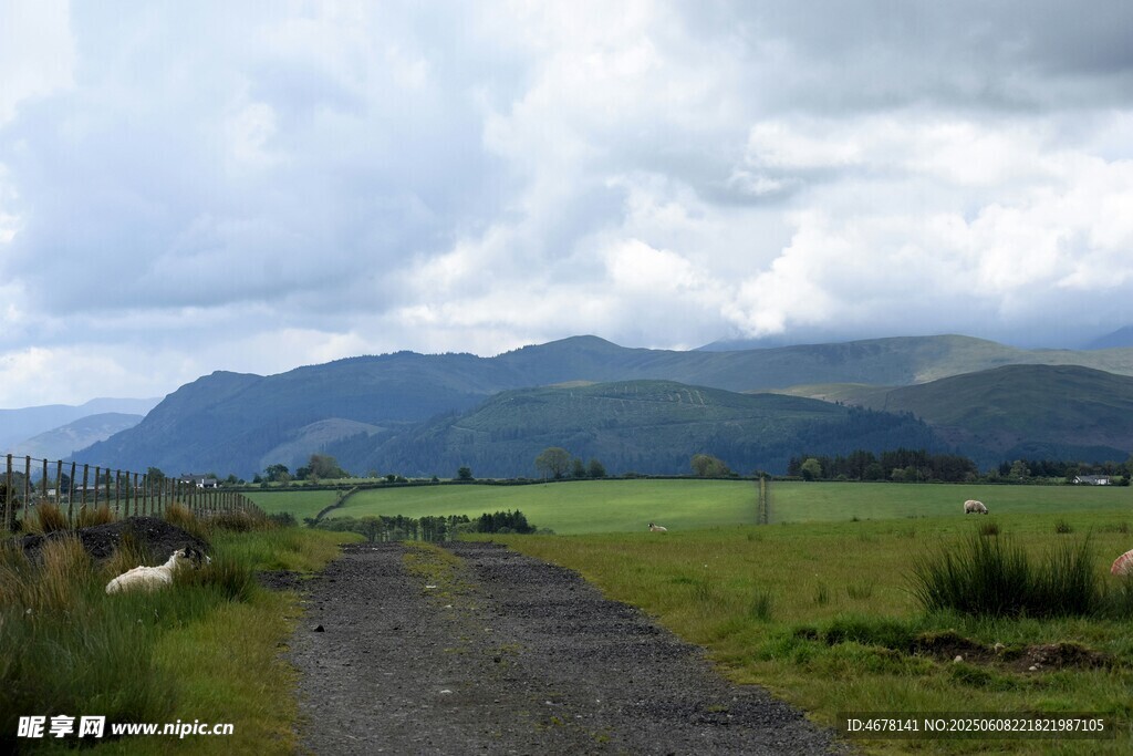山间小路旁的广袤绿野