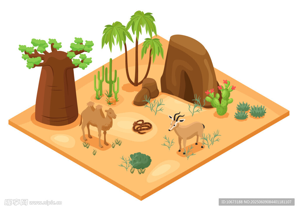 沙漠中的动植物景观