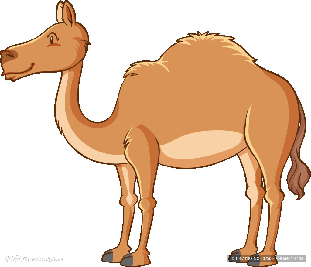 卡通骆驼形象展示