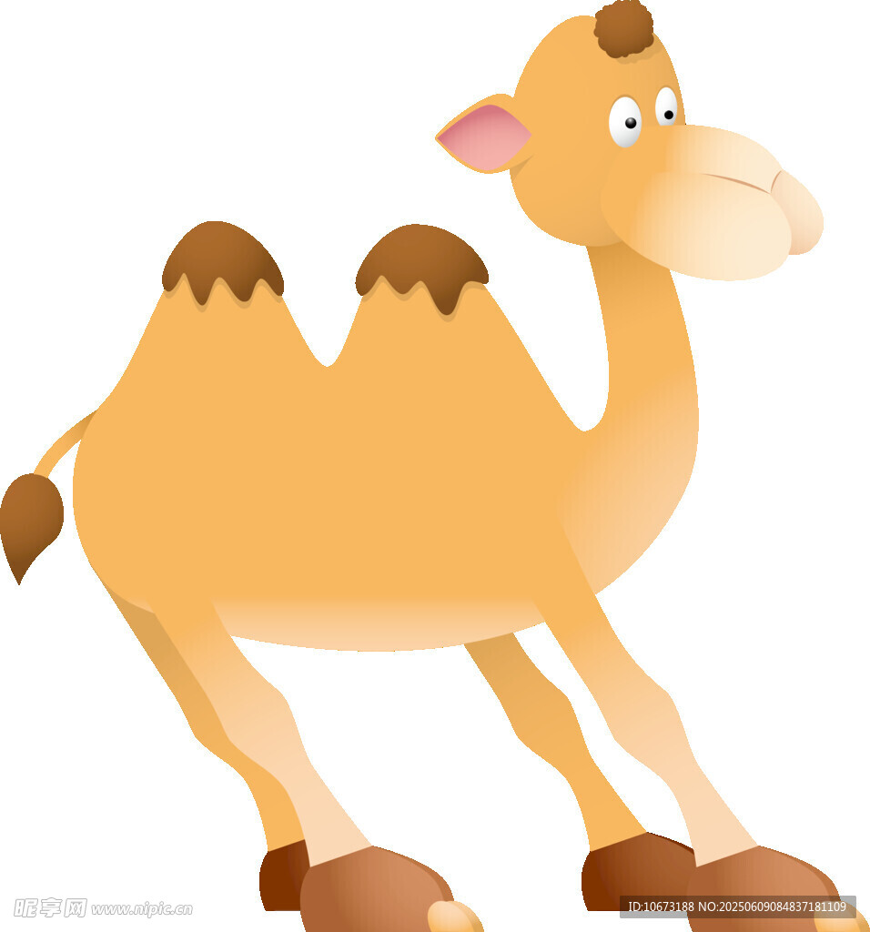 可爱卡通骆驼形象展示