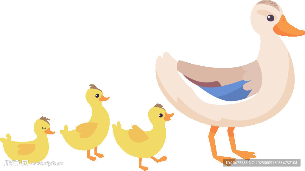 鸭妈妈带小鸭漫步