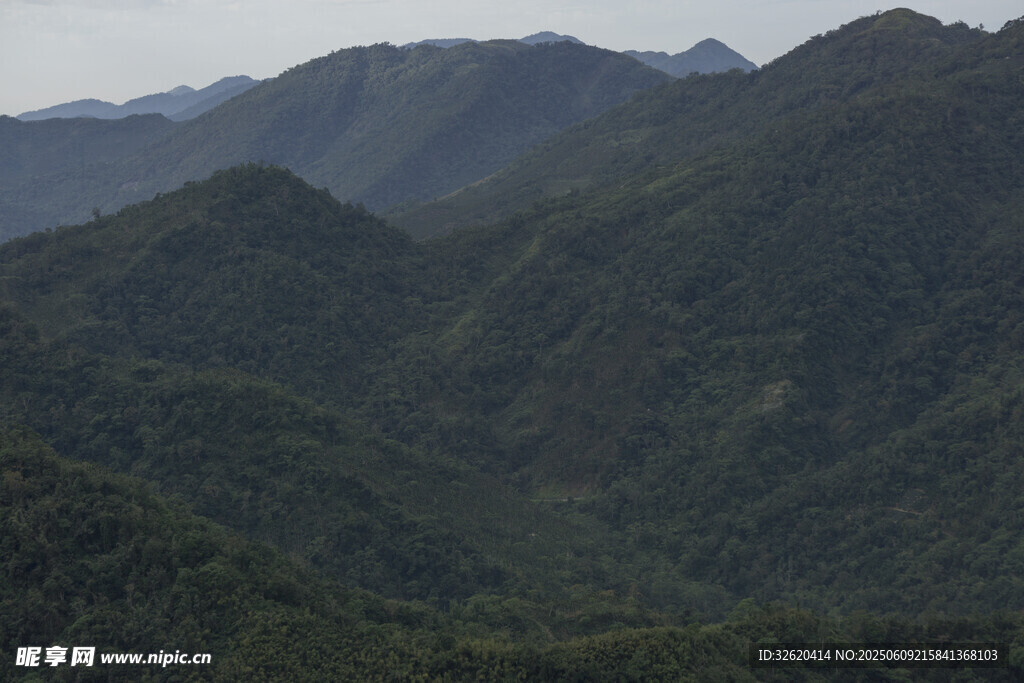 连绵青山绿意浓