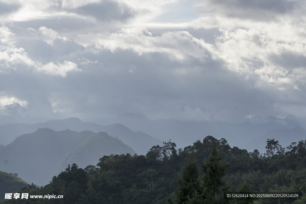 云雾缭绕的山林美景