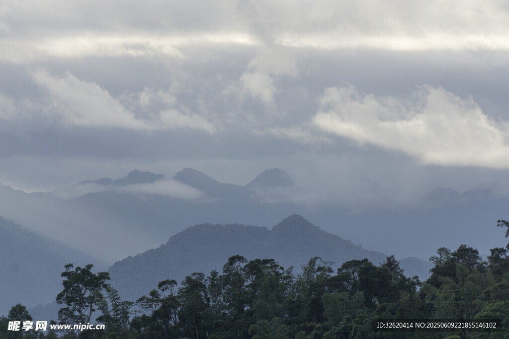 云雾缭绕的山峦与林木
