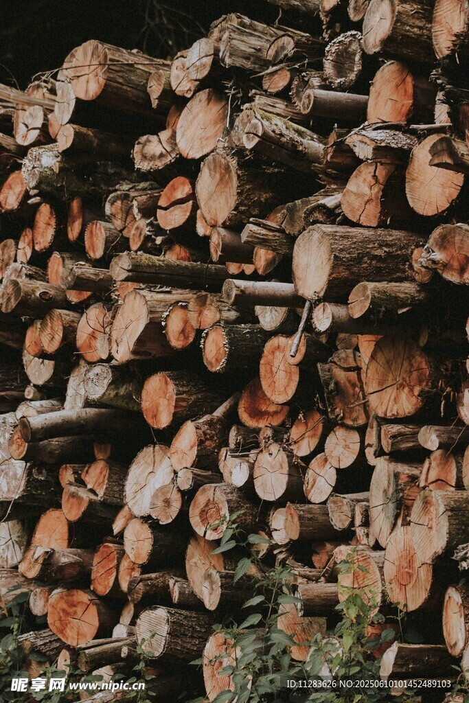 堆积的木材