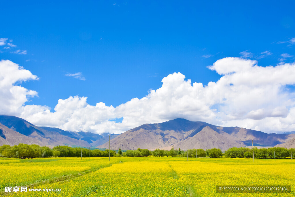 蓝天花海间的壮美山川