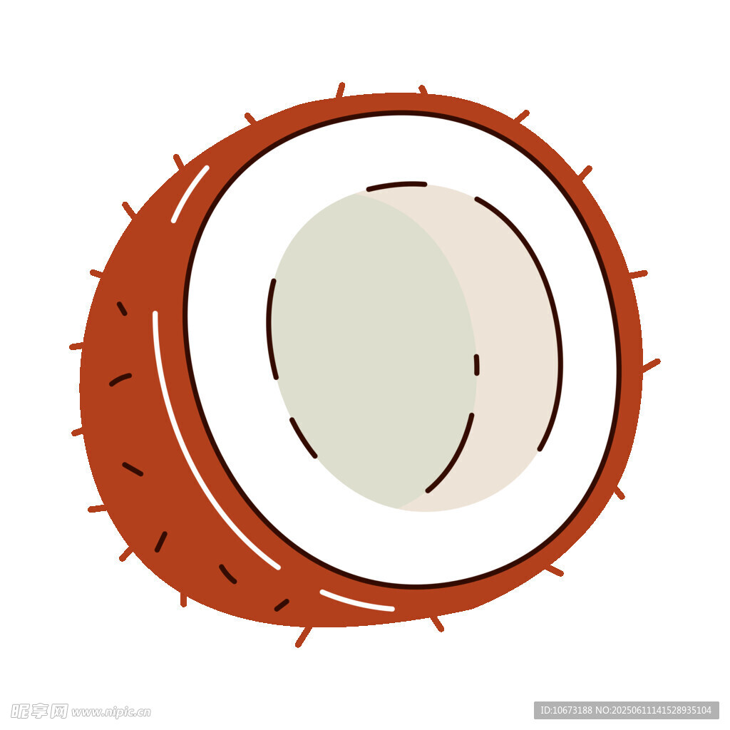 切开的椰子插画