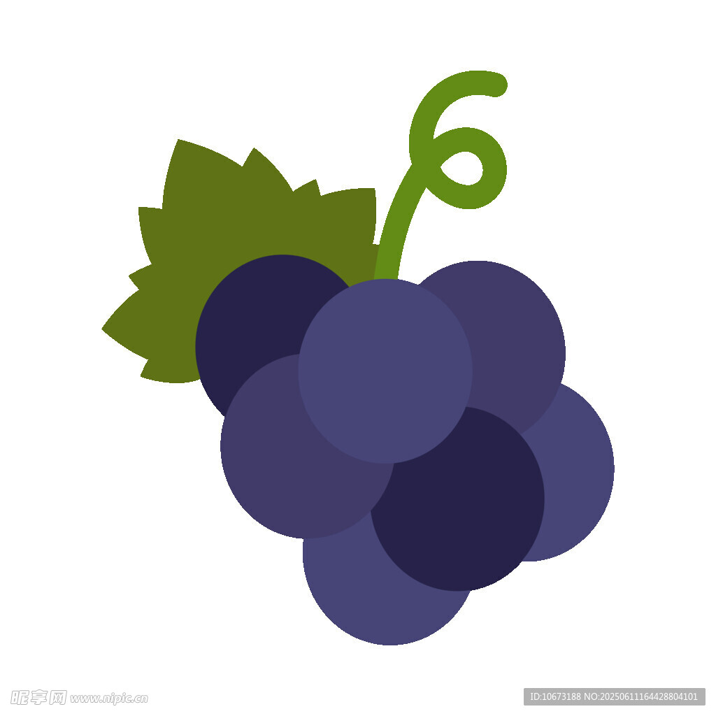 紫色葡萄插画