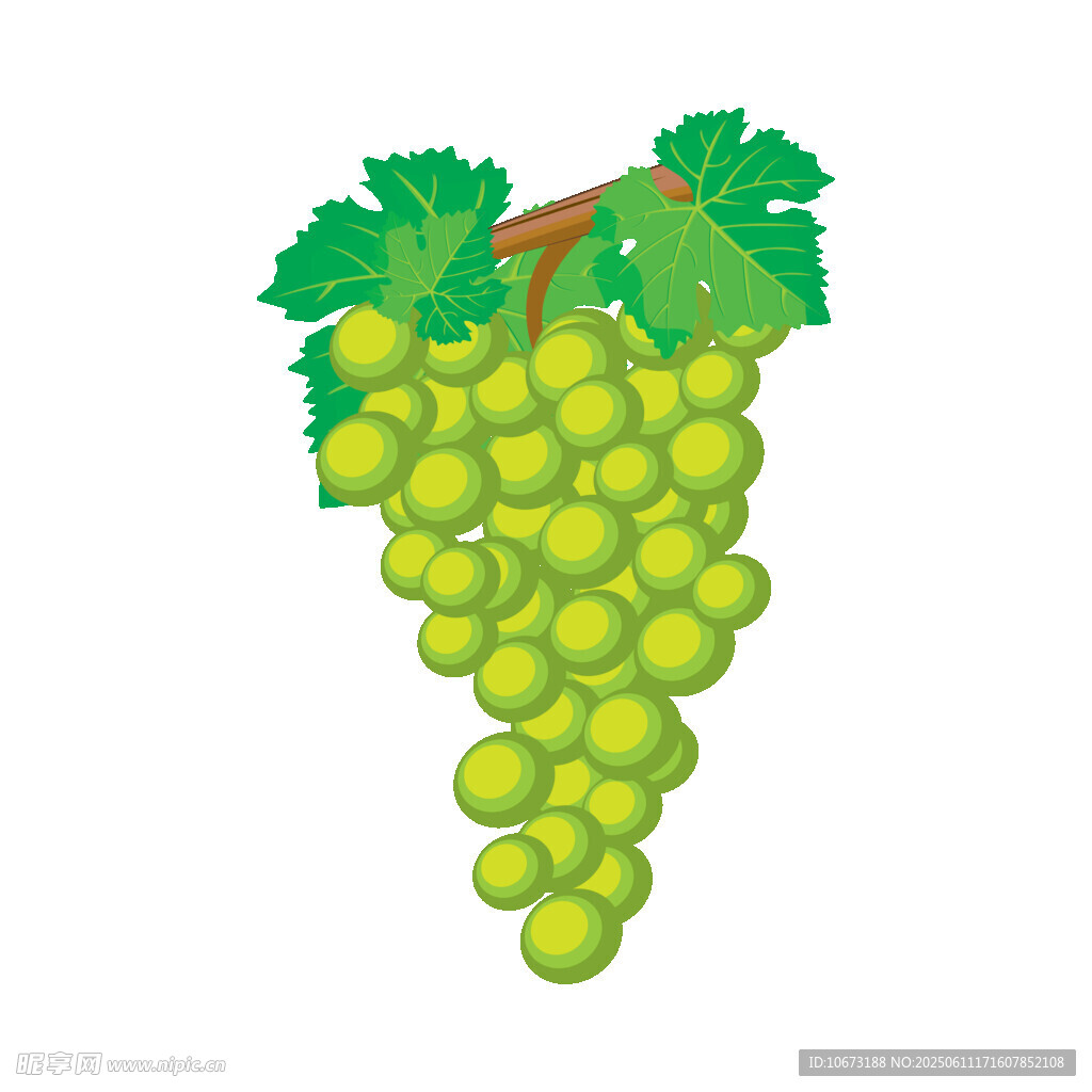 一串鲜绿的葡萄