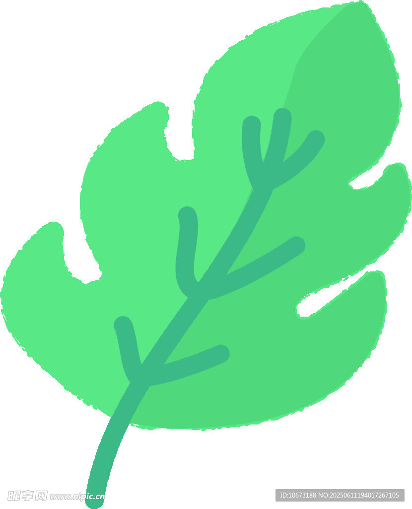 绿色叶片插画