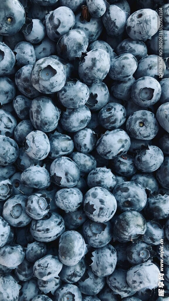 饱满蓝莓