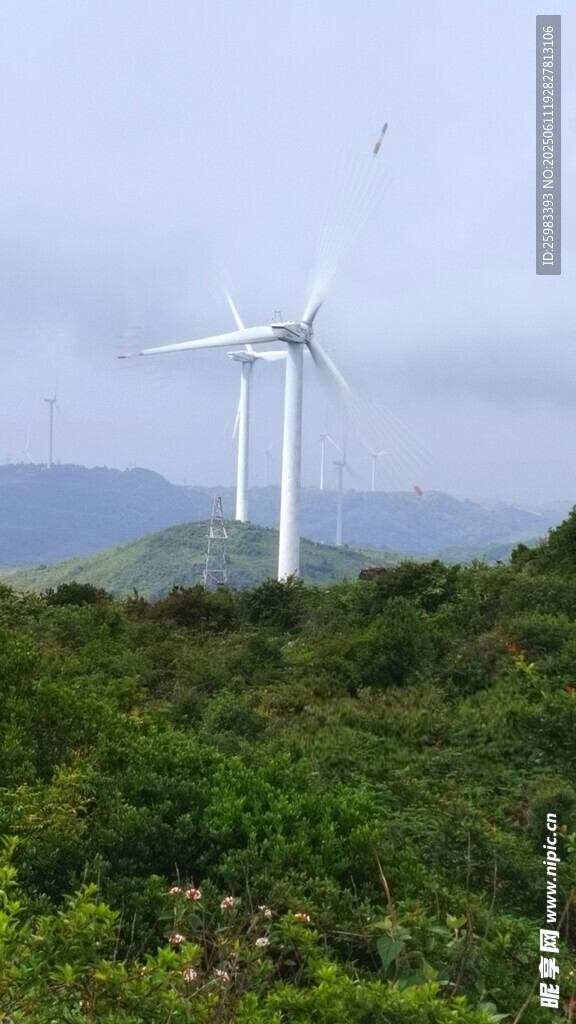 风力发电