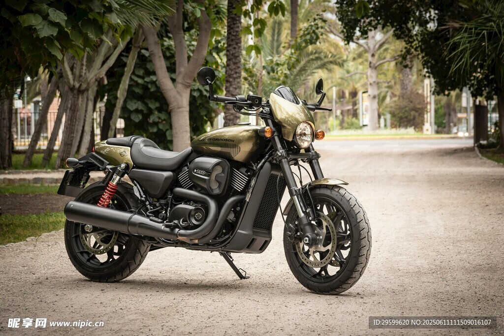 复古风格摩托车停于林荫道