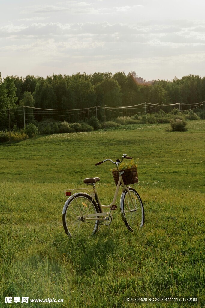 田园草地间的复古自行车
