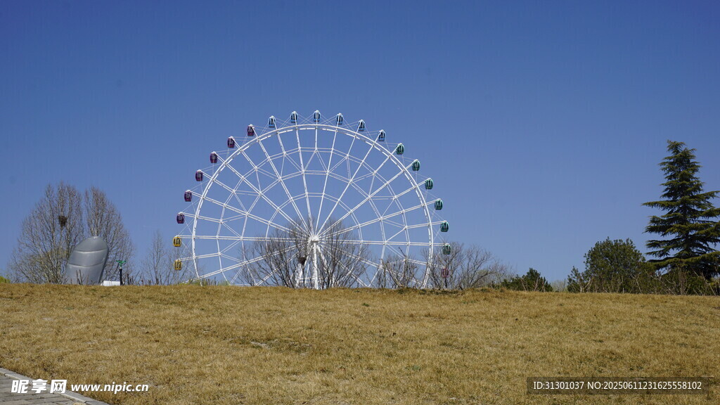 蓝天草地间的巨型摩天轮