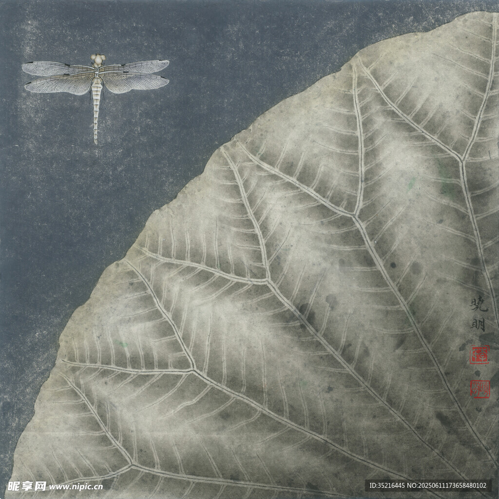 蜻蜓停驻在硕大叶片上