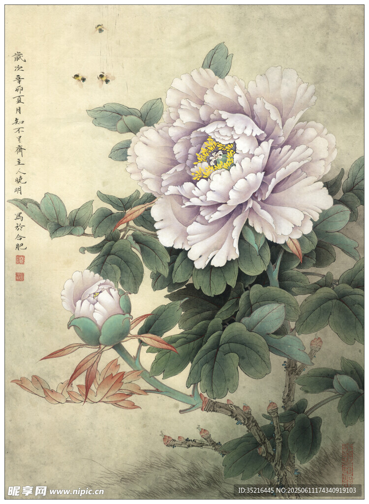 国画牡丹花卉图