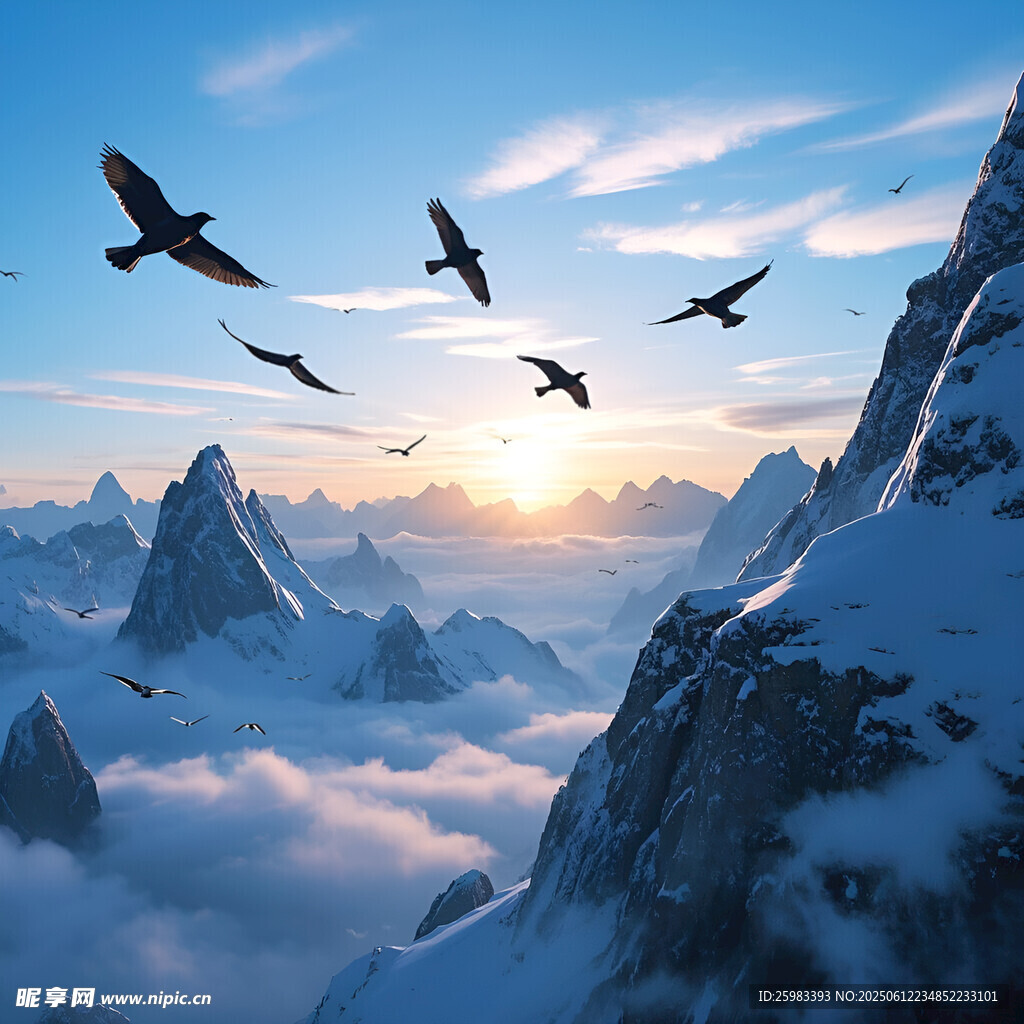 雪山飞鸟