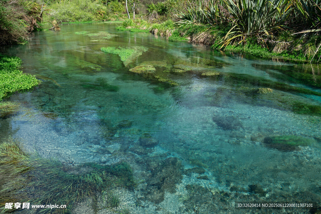 清澈溪流中的自然美景