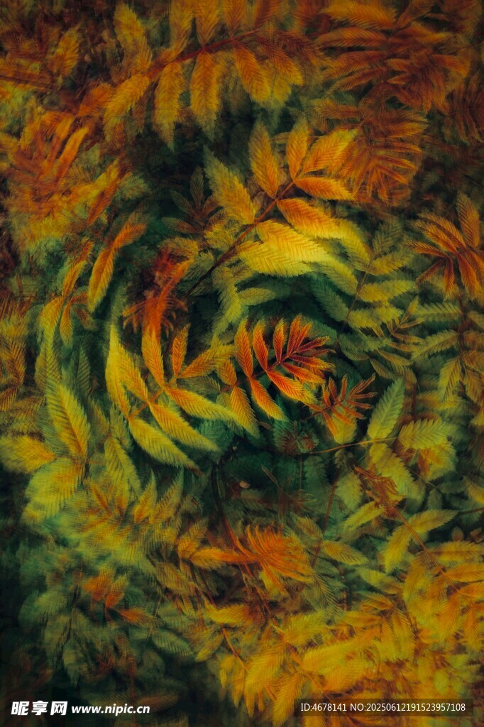 抽象绚丽色彩旋涡画作