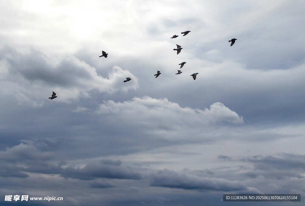 群鸟翱翔于多云天空