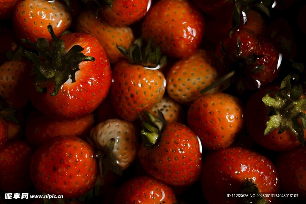 新鲜诱人的草莓果实