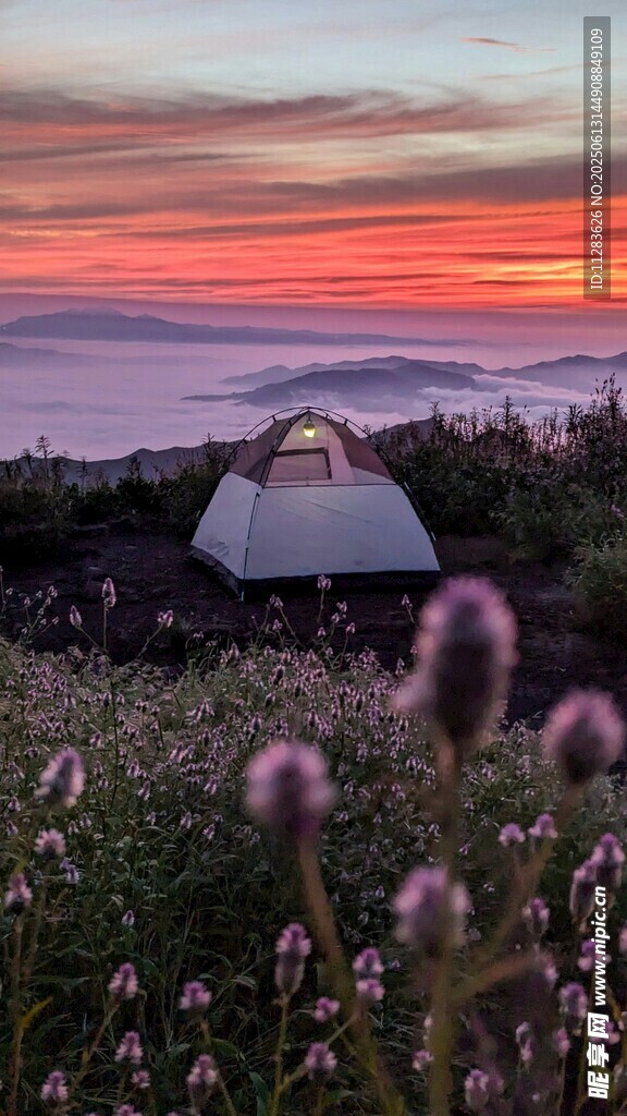 日落草原上的露营帐篷