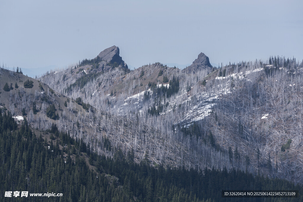 雪覆山峦 林木相伴