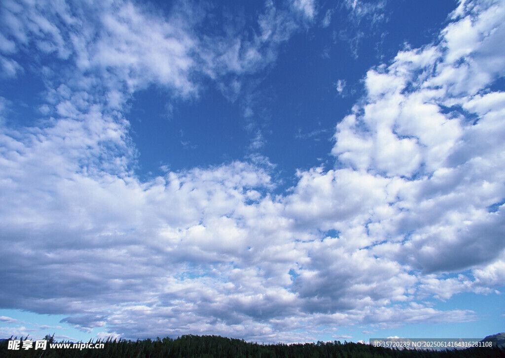 蓝天白云下的开阔景致