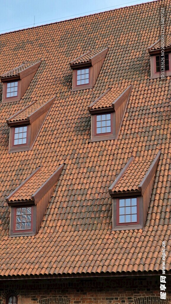 屋顶上的多扇斜窗建筑