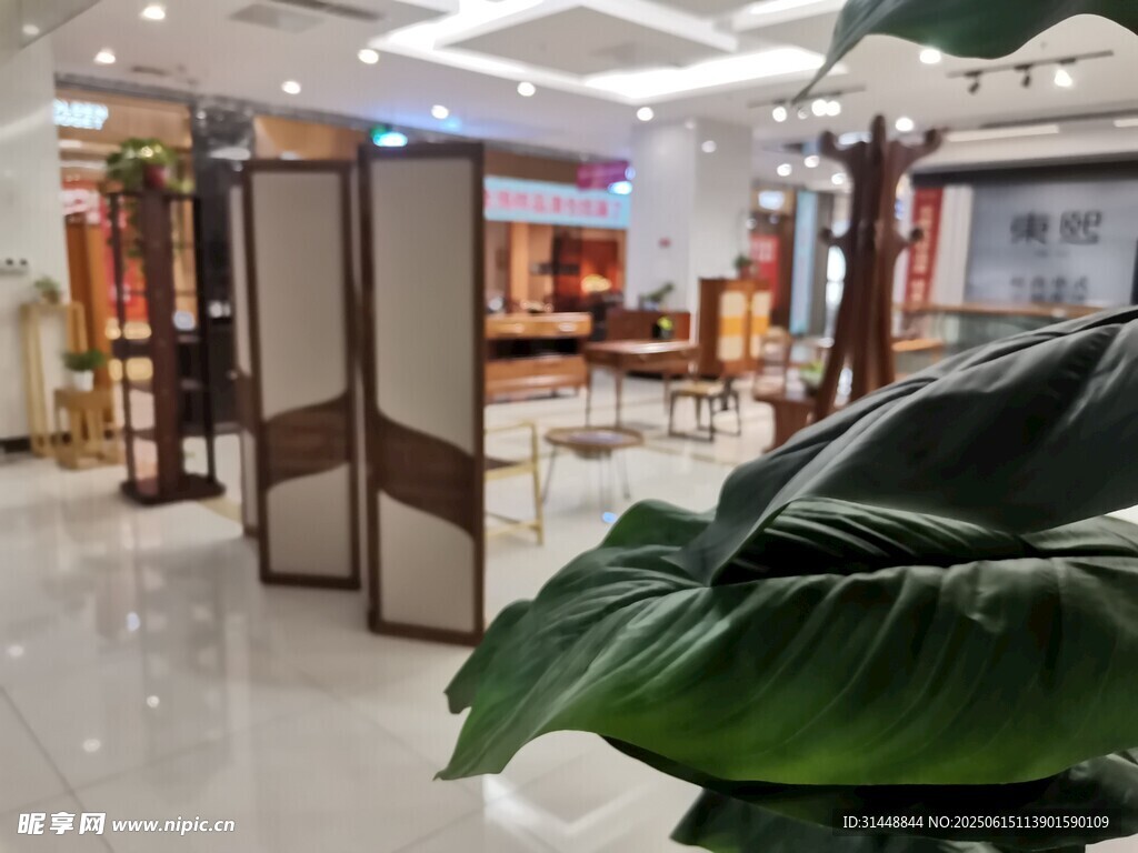商场内景与绿植装饰