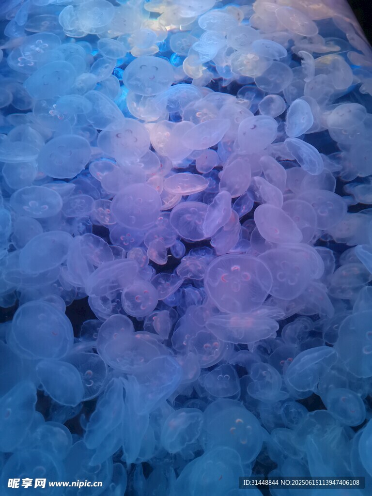 梦幻蓝紫色碎冰景观