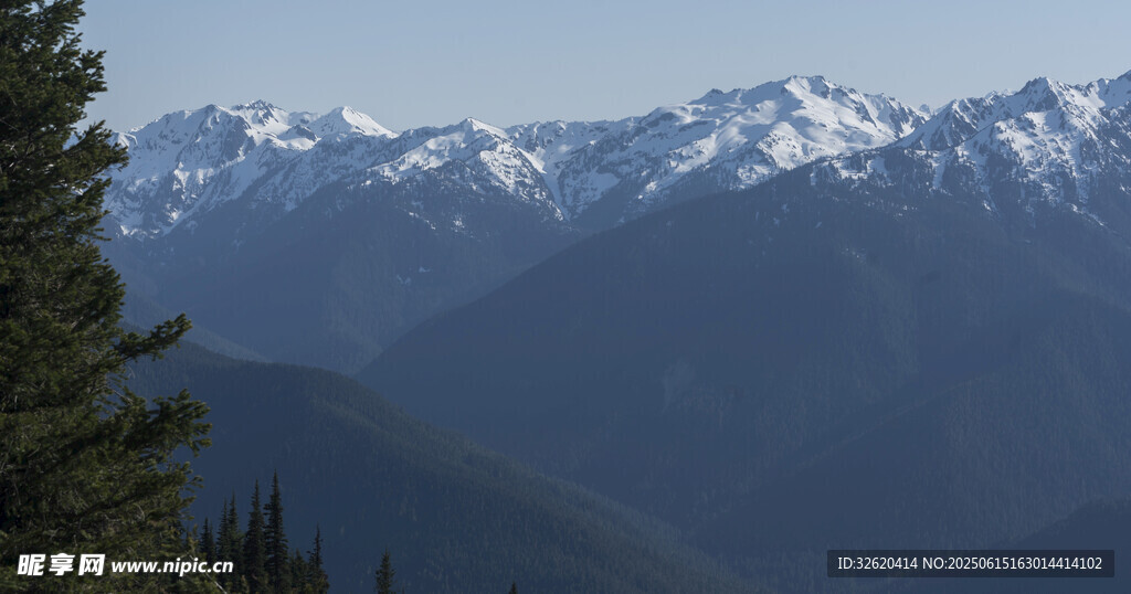 壮丽雪山与葱郁树木景观