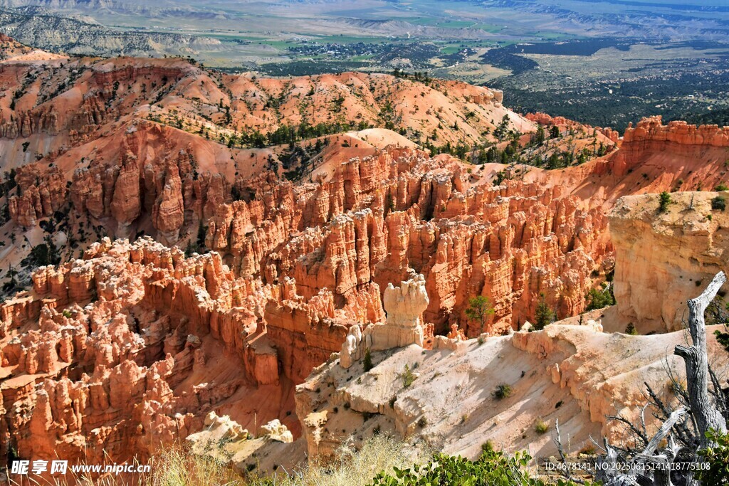 壮丽布莱斯峡谷景观