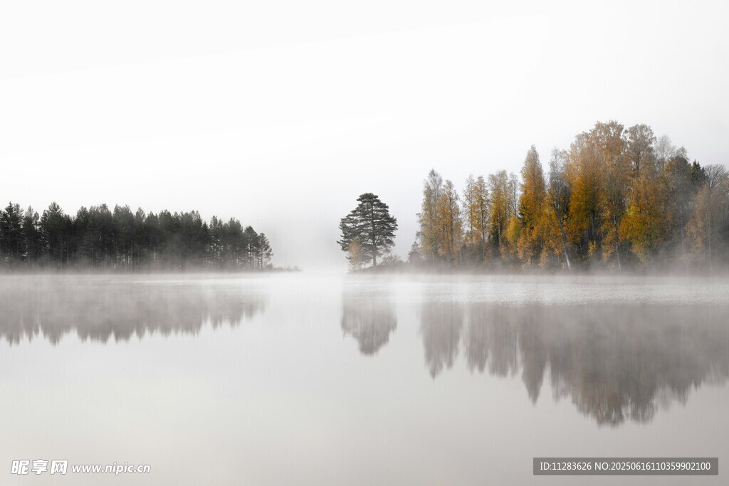 湖畔晨雾中的多彩树林