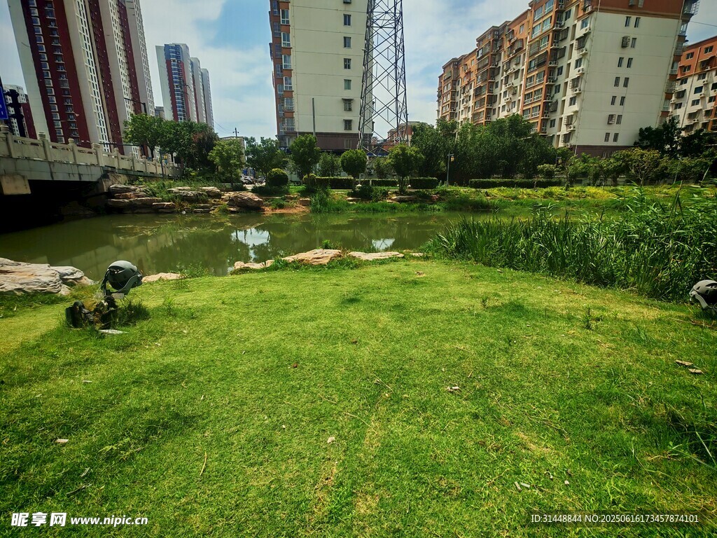 城市河畔绿地景观