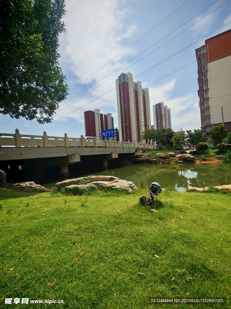 城市绿地中的桥与高楼景观