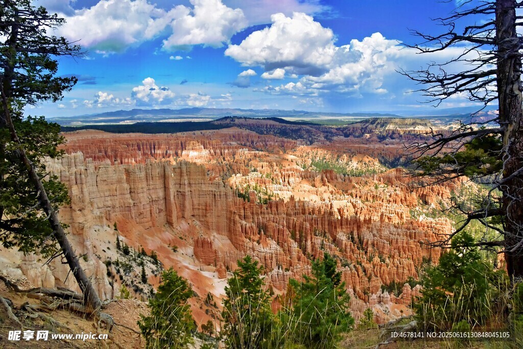 布莱斯峡谷壮丽自然景观