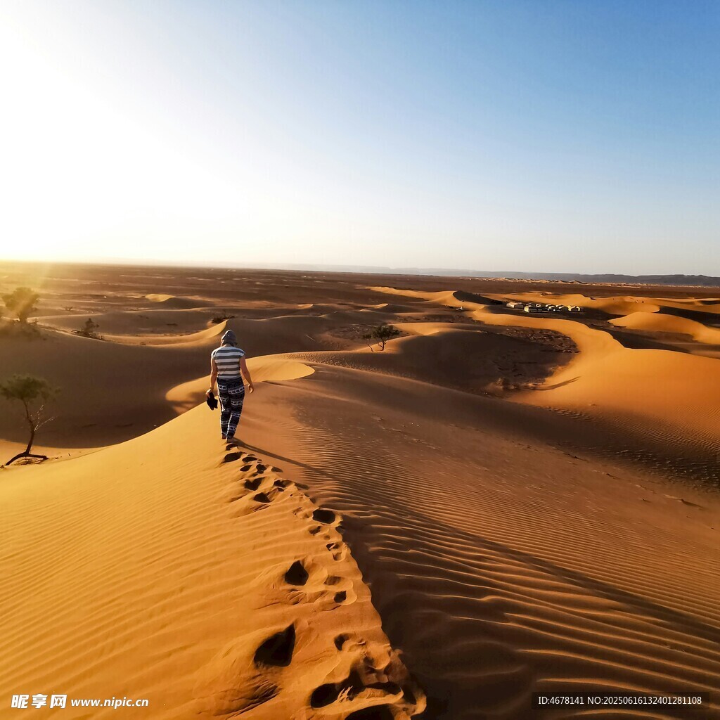 沙漠中独行者的坚毅步伐