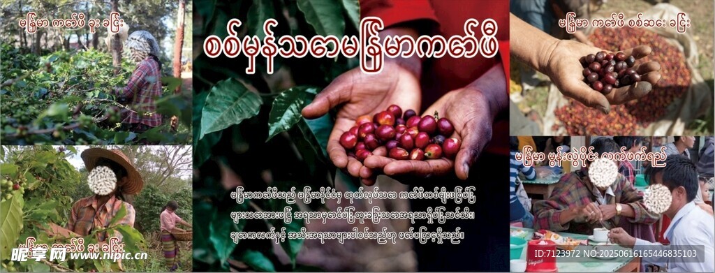 缅甸咖啡