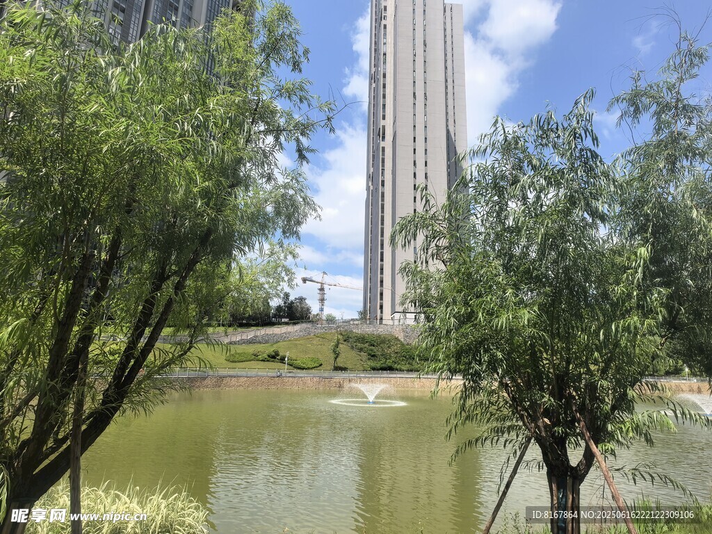 湖畔绿树旁的高楼景观