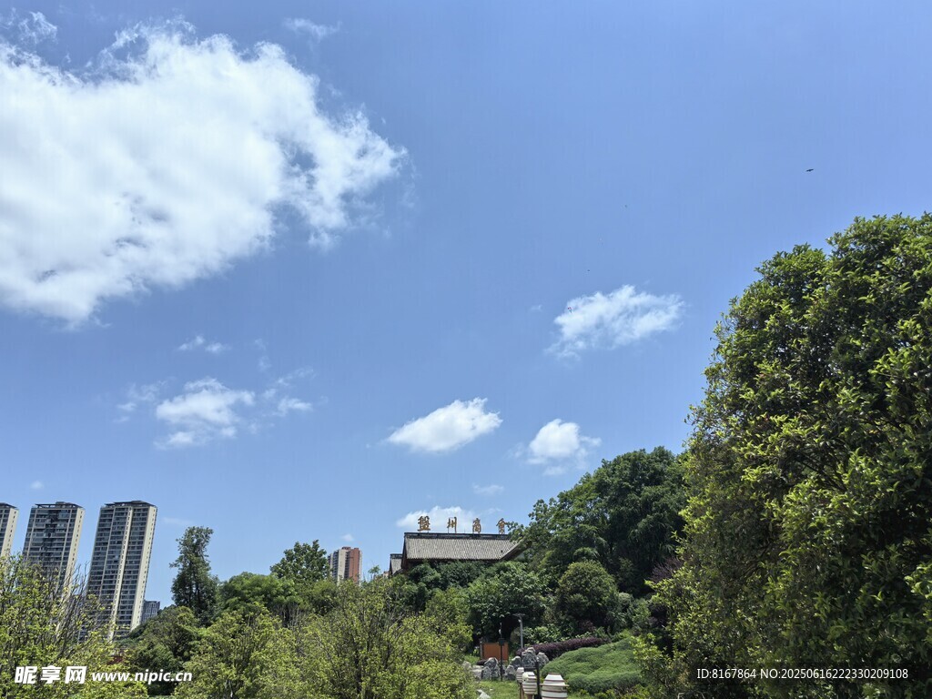 城市中的绿意景观
