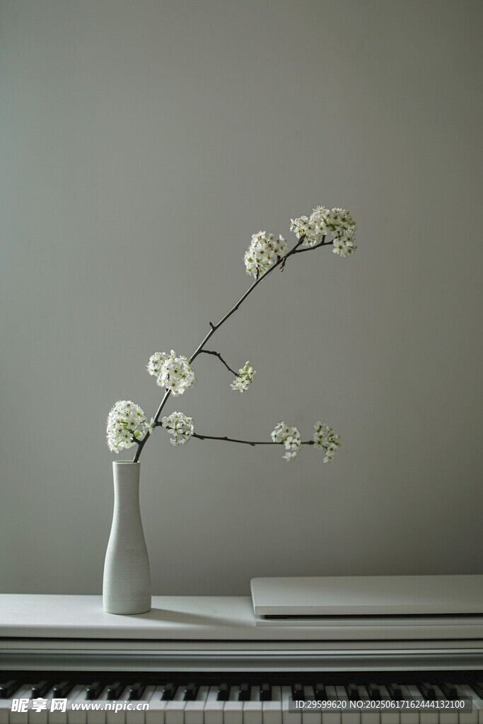 钢琴上的素雅花枝摆件
