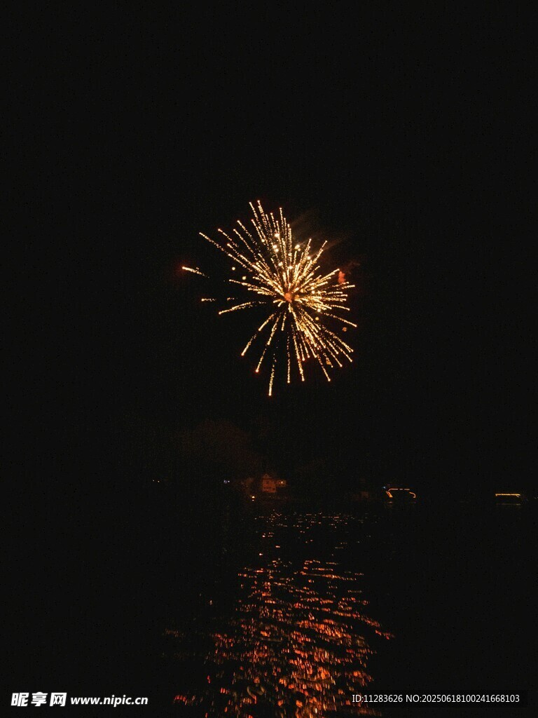 夜空中绽放的绚烂烟花