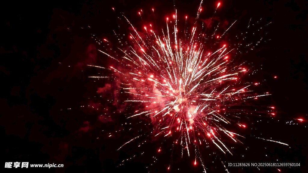 绚丽红色烟花绽放夜空