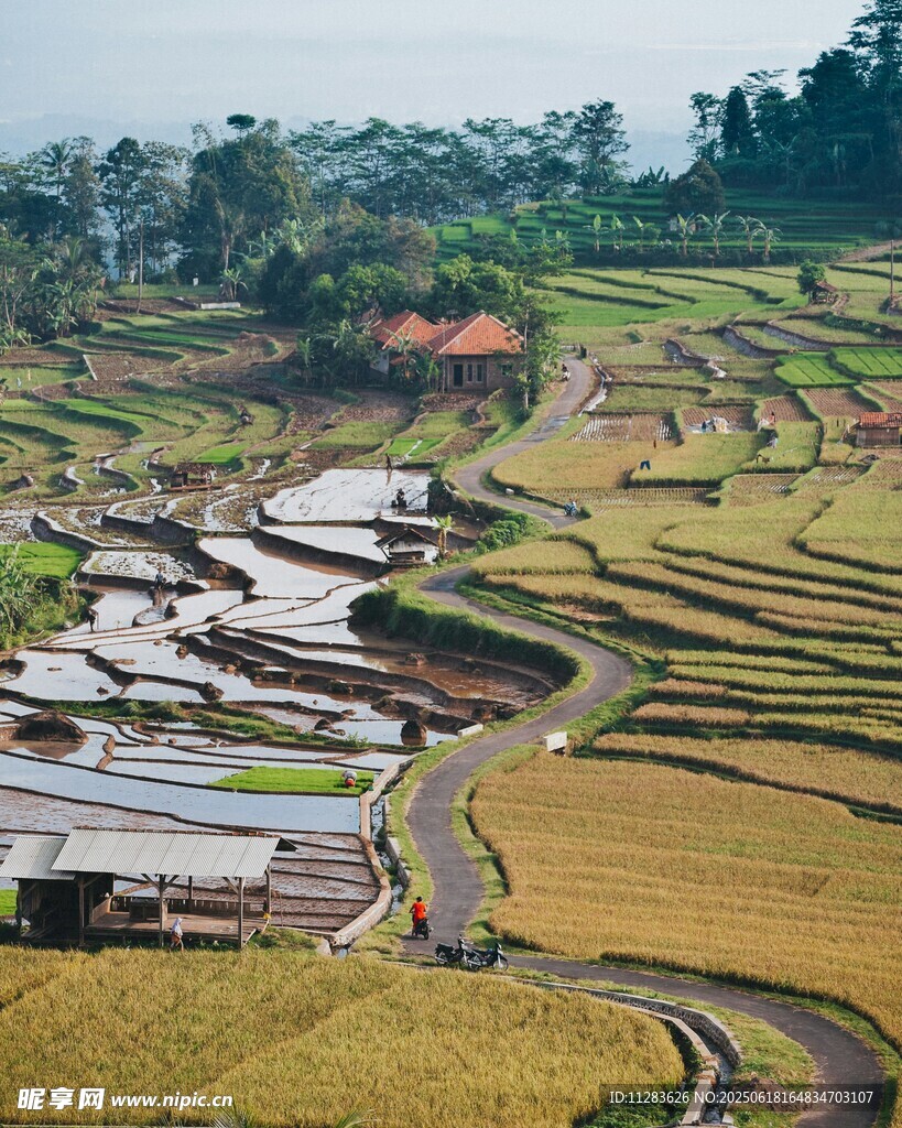美丽梯田风光如画